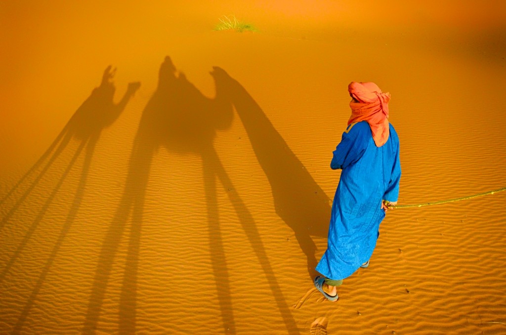 Camel shadows in the Moroccan Sahara Desert