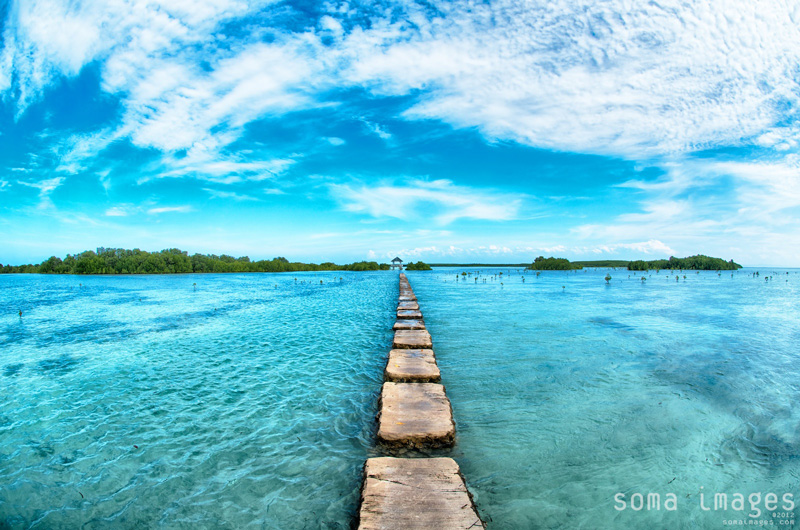 Olango-island-cebu-philippines-bird-sanctuary